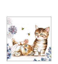 Napkin 25 Cats and bees FSC Mix