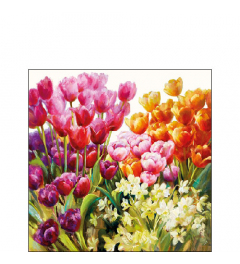 Napkin 25 Tulips FSC Mix