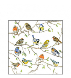 Napkin 25 Birds meeting FSC Mix