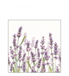 Napkin 25 Lavender shades white FSC Mix