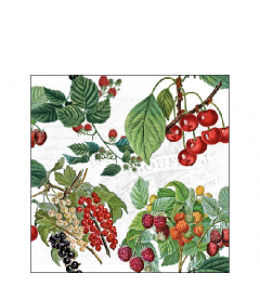 Napkin 25 Fresh fruits FSC Mix