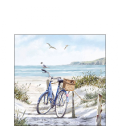 Napkin 25 Bike at the beach FSC Mix