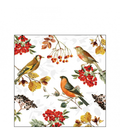 Napkin 25 Autumn birds FSC Mix