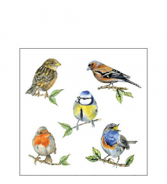 Napkin 25 Bird species white FSC Mix