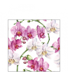 Napkin 25 Elegant orchids white FSC Mix