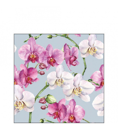 Napkin 25 Elegant orchids blue FSC Mix