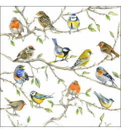 Napkin 33 Birds meeting FSC Mix