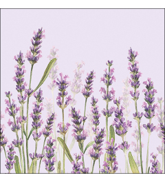 Napkin 33 Lavender shades lila FSC Mix