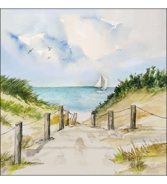 Napkin 33 Dune path FSC Mix