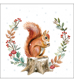 Napkin 33 Storing for winter FSC Mix