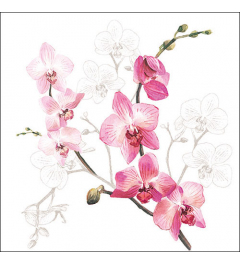 Napkin 33 Orchid FSC Mix