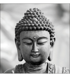 Napkin 33 Buddha head FSC Mix