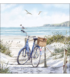 Napkin 33 Bike at the beach FSC Mix