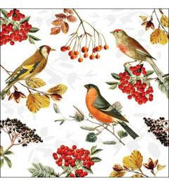 Napkin 33 Autumn birds FSC Mix