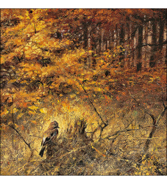 Napkin 33 Eurasian jay FSC Mix