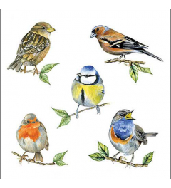 Napkin 33 Bird species white FSC Mix