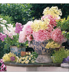 Napkin 33 Potted flowers FSC Mix