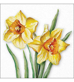 Napkin 33 Flowering daffodils FSC Mix