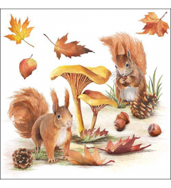 Napkin 33 Squirrels go nuts FSC Mix