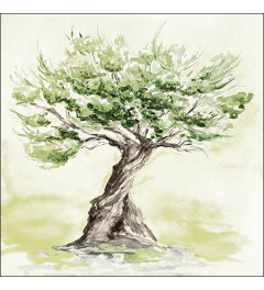 Napkin 33 Olive tree FSC Mix