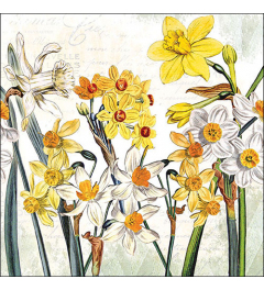 Napkin 33 Narcissus FSC Mix