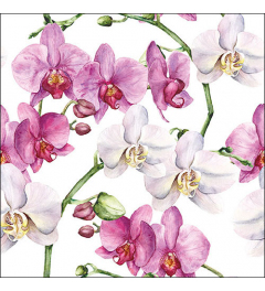 Napkin 33 Elegant orchids white FSC Mix