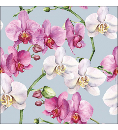 Napkin 33 Elegant orchids blue FSC Mix