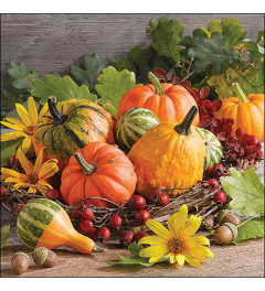 Napkin 33 Pumpkin varieties FSC Mix