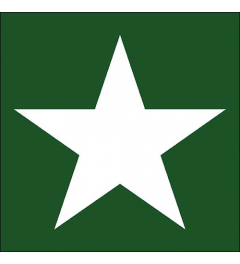 Napkin 33 Star green FSC Mix
