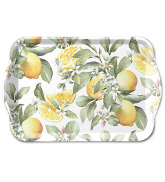 Tray melamine 13x21 cm Limoni