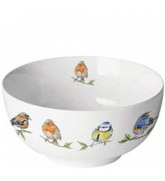 Bowl Bird species white