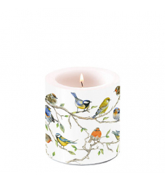 Candle small Birds meeting