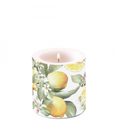 Candle small Limoni