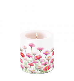 Candle small Painted bellis