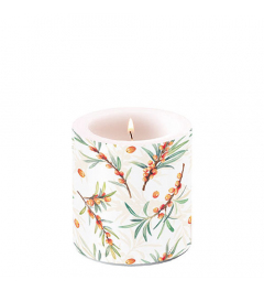 Candle small Sea buckthorn