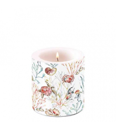 Candle small Sea animals