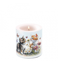 Candle small Kittens in flower field