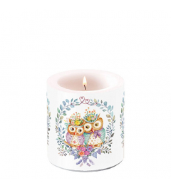 Candle small Owl couple in love