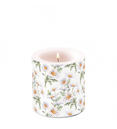 Candle small Beautiful daisies white