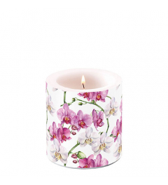 Candle small Elegant orchids white