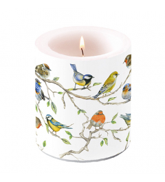 Candle medium Birds meeting