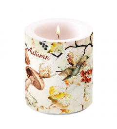 Candle medium Wonderful autumn