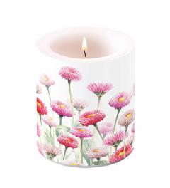 Candle medium Painted bellis