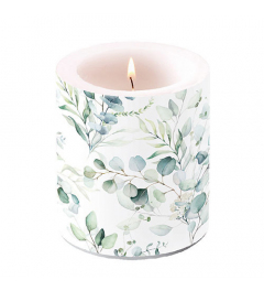 Candle medium Eucalyptus all over