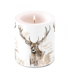 Candle medium Antlers