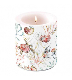 Candle medium Sea animals