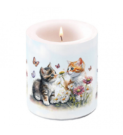 Candle medium Kittens in flower field