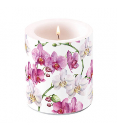 Candle medium Elegant orchids white