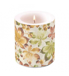 Candle medium Castanea
