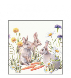 Napkin 25 Carrot treat FSC Mix